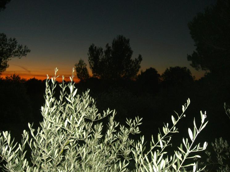 lever de soleil par la fen�tre de la chambre 2