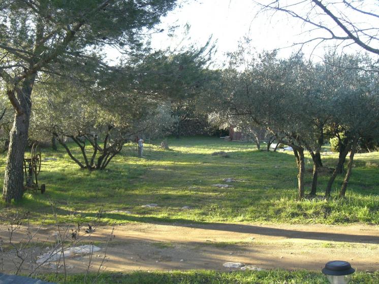 L' Olivette